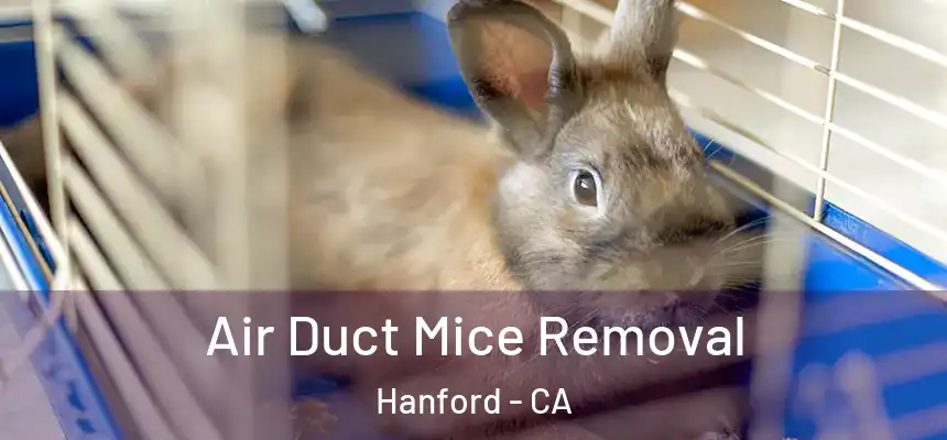 Air Duct Mice Removal Hanford - CA