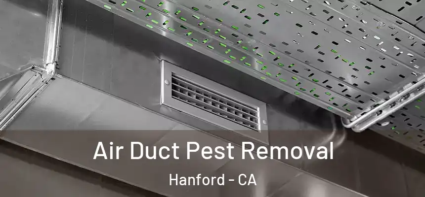 Air Duct Pest Removal Hanford - CA
