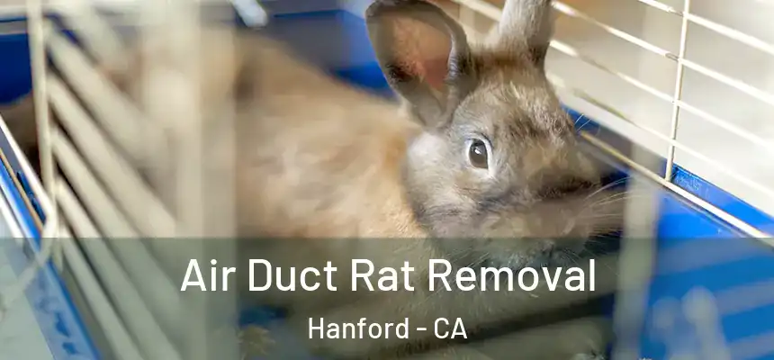 Air Duct Rat Removal Hanford - CA