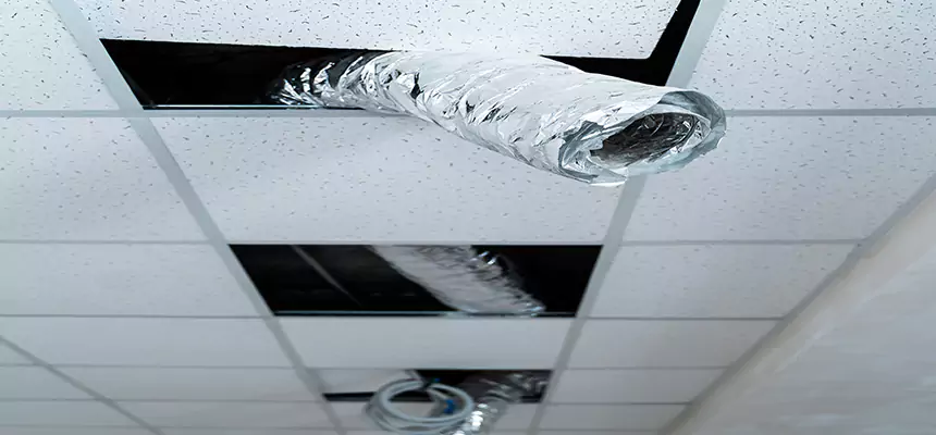 Affordable HVAC Sanitizing After Pest Removal in Hanford