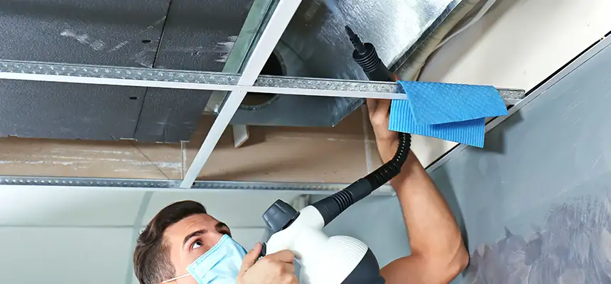 Our Air Duct Rodent Removal Services in Hanford, CA