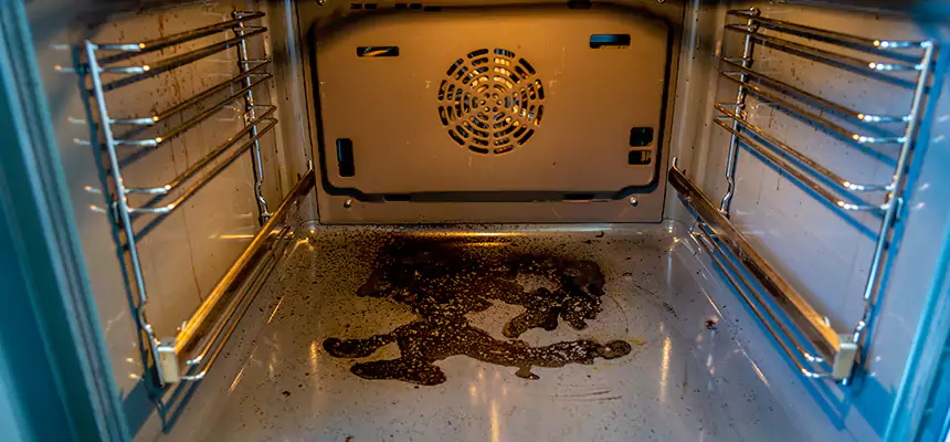 Our Dryer Vent Mold Cleaning Services in Hanford, CA