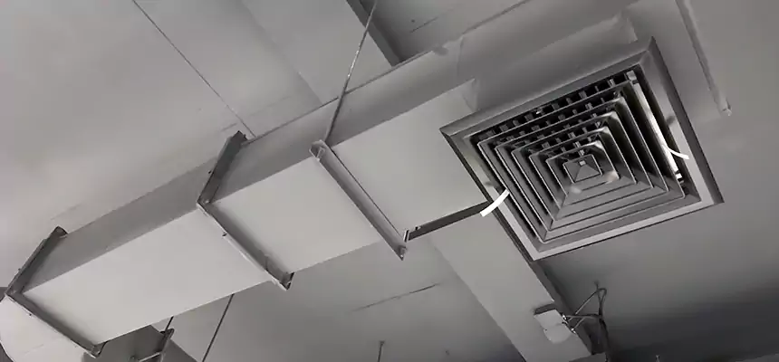 Our Pest Removal From Ducts Services in Hanford, CA