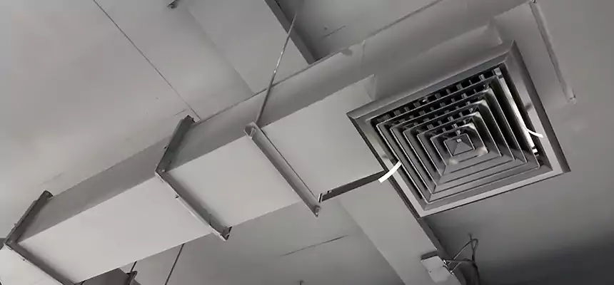 Our Rodent Droppings In Vents Services in Hanford, CA