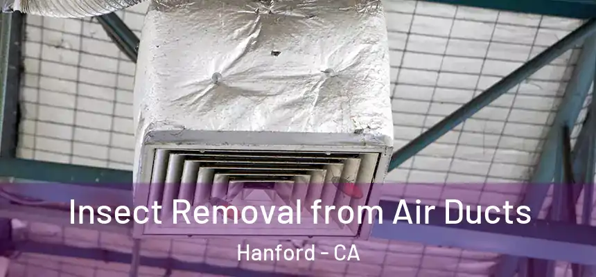 Insect Removal from Air Ducts Hanford - CA