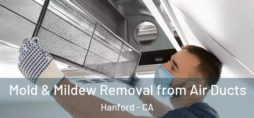 Mold & Mildew Removal from Air Ducts Hanford - CA