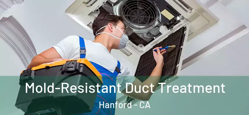 Mold-Resistant Duct Treatment Hanford - CA