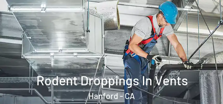 Rodent Droppings In Vents Hanford - CA
