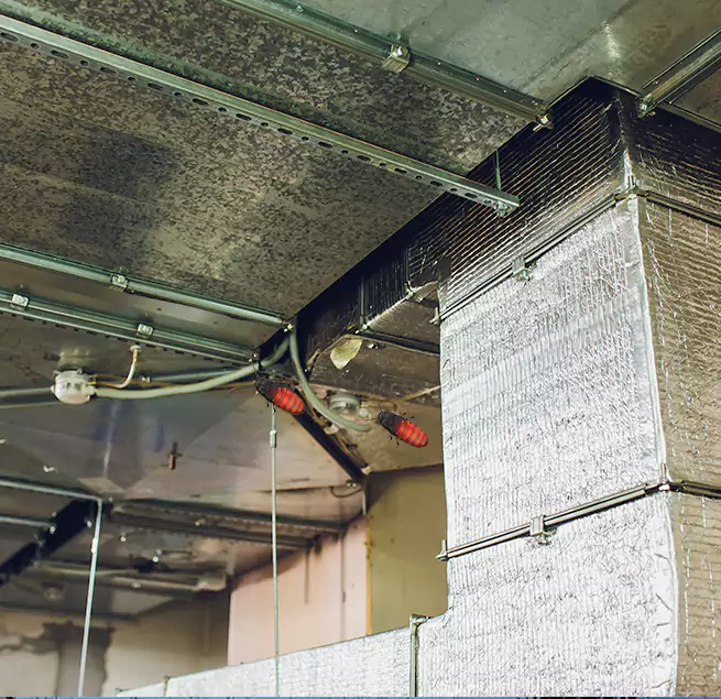 Why Homeowners & Businesses Trust Us in Hanford, CA?