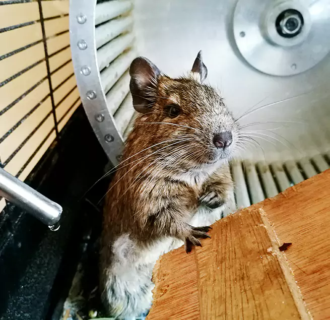 Why Homeowners & Businesses Trust Us Hanford, CA?